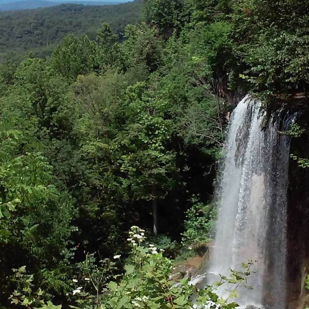 Meet your Posher, Dean sharon